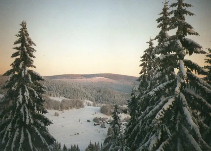 Habitación en casa particular Koczy Zamek *